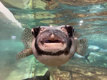 鴨川シーワールドに投稿された画像（2022/1/23）