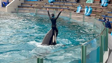 鴨川シーワールドに投稿された画像（2022/1/23）