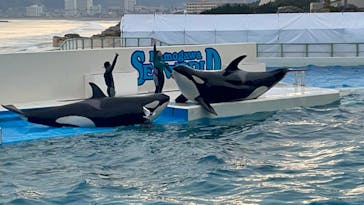 鴨川シーワールドに投稿された画像（2022/1/23）