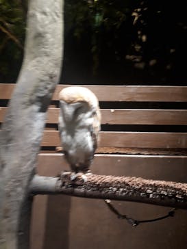 Moff animal world MARK IS みなとみらい店に投稿された画像（2022/1/23）