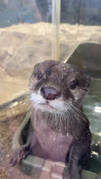 新江ノ島水族館に投稿された画像（2022/1/23）