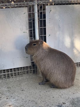 東武動物公園に投稿された画像（2022/1/23）