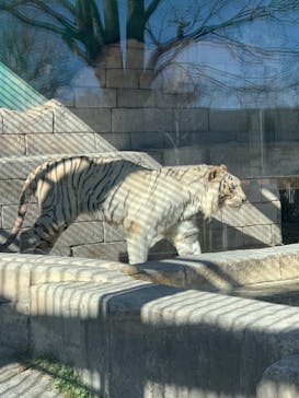 東武動物公園に投稿された画像（2022/1/23）