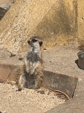 東武動物公園に投稿された画像（2022/1/23）