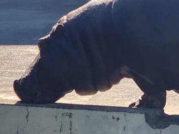 東武動物公園に投稿された画像（2022/1/23）