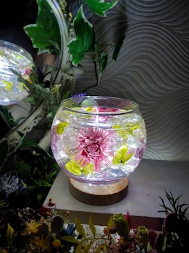 ずこうしつ〜sugamo〜に投稿された画像（2022/1/23）