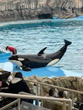 名古屋港水族館に投稿された画像（2022/1/23）