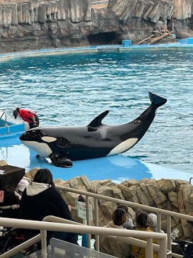 名古屋港水族館に投稿された画像（2022/1/23）
