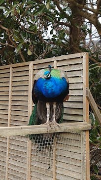 伊豆シャボテン動物公園に投稿された画像（2022/1/23）