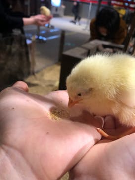 Moff animal world MARK IS みなとみらい店に投稿された画像（2022/1/23）