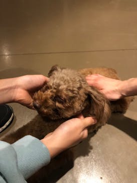 Moff animal world MARK IS みなとみらい店に投稿された画像（2022/1/23）