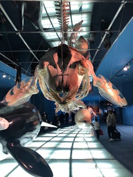 名古屋港水族館に投稿された画像（2022/1/23）