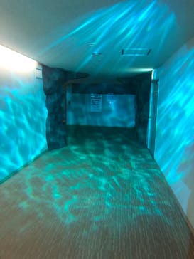 名古屋港水族館に投稿された画像（2022/1/23）