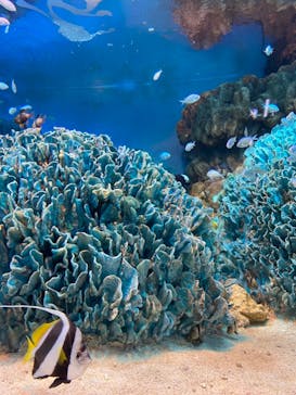 サンシャイン水族館に投稿された画像（2022/1/23）