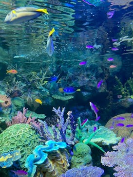 サンシャイン水族館に投稿された画像（2022/1/23）