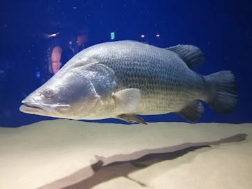 マリンワールド海の中道に投稿された画像（2022/1/23）