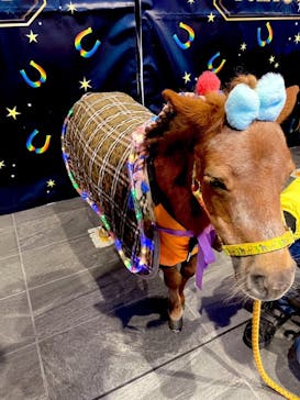 東京メガイルミに投稿された画像（2022/1/23）