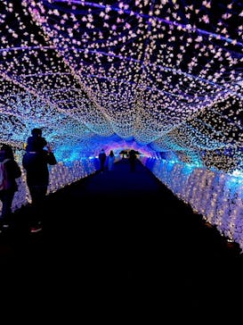 東京メガイルミに投稿された画像（2022/1/23）