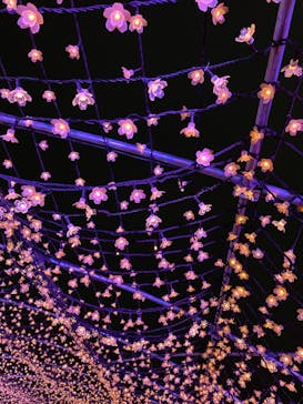 東京メガイルミに投稿された画像（2022/1/23）