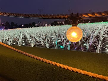 東京メガイルミに投稿された画像（2022/1/23）