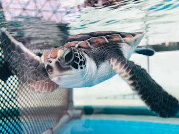 名古屋港水族館に投稿された画像（2022/1/23）
