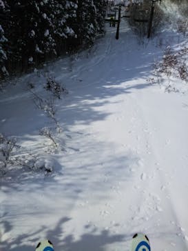 鹿島槍スキー場 ファミリーパークに投稿された画像（2022/1/23）