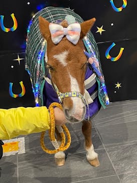 東京メガイルミに投稿された画像（2022/1/23）