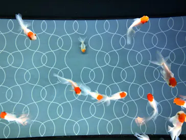 すみだ水族館に投稿された画像（2022/1/23）