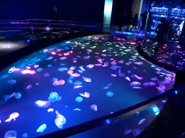 すみだ水族館に投稿された画像（2022/1/23）