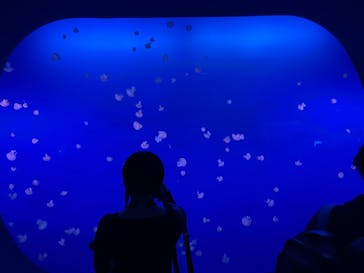 新江ノ島水族館に投稿された画像（2022/1/23）