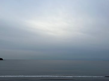 新江ノ島水族館に投稿された画像（2022/1/23）