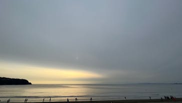 新江ノ島水族館に投稿された画像（2022/1/23）