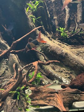 サンシャイン水族館に投稿された画像（2022/1/23）