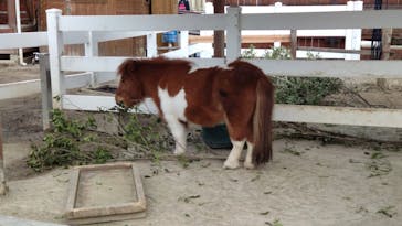 東武動物公園に投稿された画像（2022/1/23）