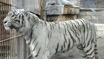 東武動物公園に投稿された画像（2022/1/23）