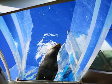 サンシャイン水族館に投稿された画像（2022/1/23）