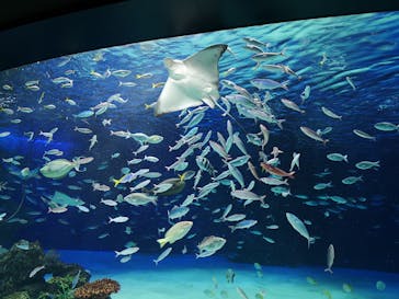 サンシャイン水族館に投稿された画像（2022/1/23）