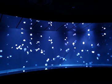 サンシャイン水族館に投稿された画像（2022/1/23）