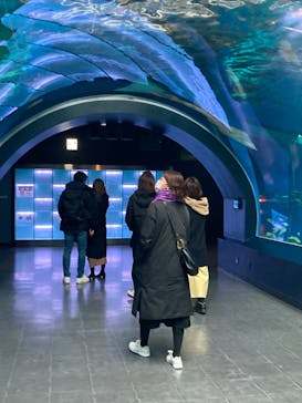 マクセル アクアパーク品川に投稿された画像（2022/1/23）