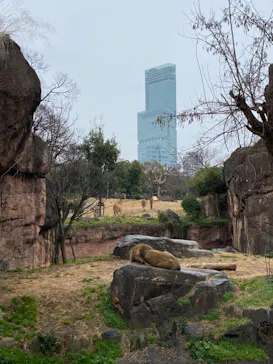 天王寺動物園に投稿された画像（2022/1/23）