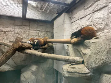 天王寺動物園に投稿された画像（2022/1/23）