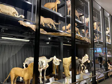 天王寺動物園に投稿された画像（2022/1/23）