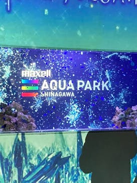 マクセル アクアパーク品川に投稿された画像（2022/1/23）