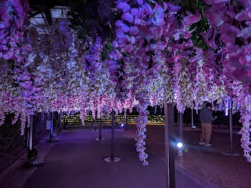 東京メガイルミに投稿された画像（2022/1/23）