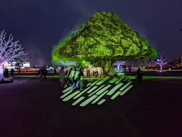 東京メガイルミに投稿された画像（2022/1/23）