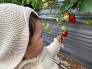 いのさんの観光農園に投稿された画像（2022/1/23）