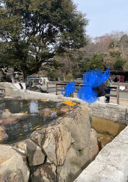 伊豆シャボテン動物公園に投稿された画像（2022/1/23）