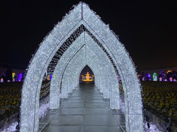 神戸イルミナージュに投稿された画像（2022/1/23）