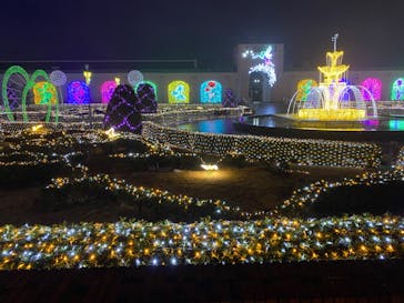 神戸イルミナージュに投稿された画像（2022/1/23）