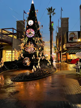 ひらかたパークに投稿された画像（2022/1/23）